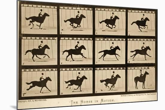 The Horse in Motion, 'Animal Locomotion' Series, C.1878-Eadweard Muybridge-Mounted Giclee Print