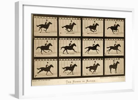 The Horse in Motion, 'Animal Locomotion' Series, C.1878-Eadweard Muybridge-Framed Giclee Print