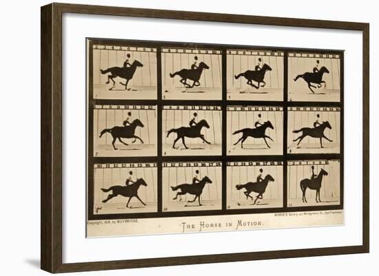 The Horse in Motion, 'Animal Locomotion' Series, C.1878-Eadweard Muybridge-Framed Giclee Print