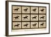 The Horse in Motion, 'Animal Locomotion' Series, C.1878-Eadweard Muybridge-Framed Giclee Print