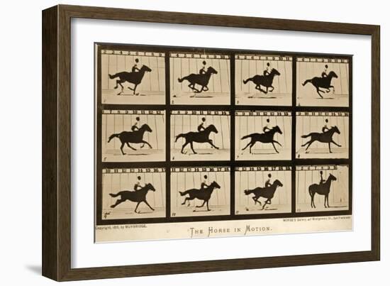 The Horse in Motion, 'Animal Locomotion' Series, C.1878-Eadweard Muybridge-Framed Giclee Print