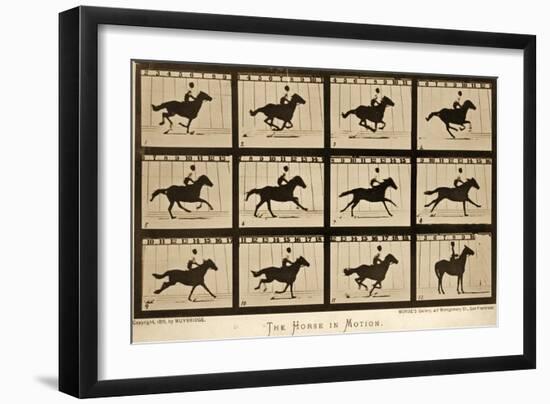 The Horse in Motion, 'Animal Locomotion' Series, C.1878-Eadweard Muybridge-Framed Giclee Print