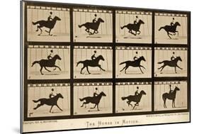 The Horse in Motion, 'Animal Locomotion' Series, C.1878-Eadweard Muybridge-Mounted Giclee Print