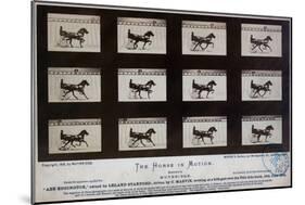 The Horse in Motion-Eadweard Muybridge-Mounted Giclee Print