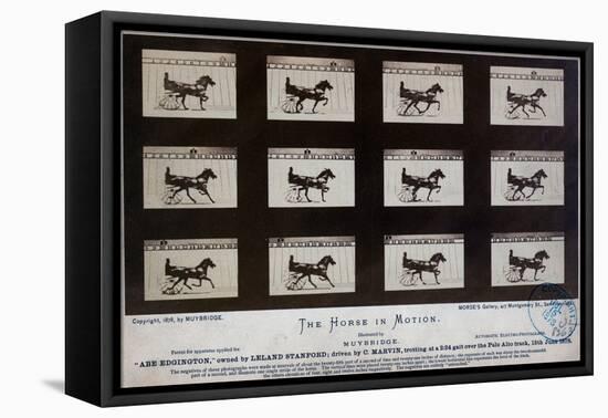 The Horse in Motion-Eadweard Muybridge-Framed Stretched Canvas