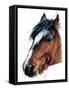 The Horse on White, 2020, (Pen and Ink)-Mike Davis-Framed Stretched Canvas