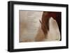 The Horse’s Prayer-Barry Hart-Framed Giclee Print