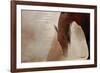 The Horse’s Prayer-Barry Hart-Framed Giclee Print