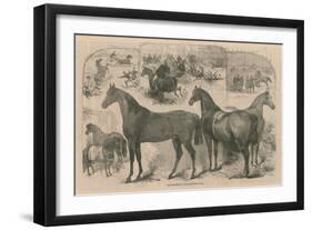 The Horse Show at in the Agricultural Hall-null-Framed Giclee Print
