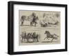 The Horse Show at the Alexandra Park-Alfred Chantrey Corbould-Framed Giclee Print