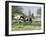 The Horse Show,-Edward Dawson-Framed Giclee Print