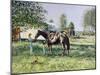 The Horse Show,-Edward Dawson-Mounted Giclee Print