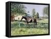 The Horse Show,-Edward Dawson-Framed Stretched Canvas