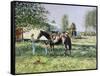 The Horse Show,-Edward Dawson-Framed Stretched Canvas