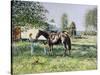 The Horse Show,-Edward Dawson-Stretched Canvas