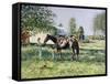 The Horse Show,-Edward Dawson-Framed Stretched Canvas