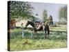 The Horse Show,-Edward Dawson-Stretched Canvas