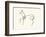 The Horse-Pablo Picasso-Framed Serigraph