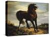 The Horse-Jean-François Millet-Stretched Canvas