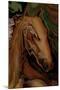 The Horse-Rabi Khan-Mounted Art Print