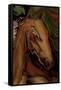 The Horse-Rabi Khan-Framed Stretched Canvas