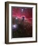 The Horsehead Nebula, Barnard 33 in the Orion Constellation-Stocktrek Images-Framed Photographic Print