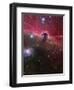 The Horsehead Nebula, Barnard 33 in the Orion Constellation-Stocktrek Images-Framed Photographic Print