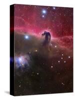 The Horsehead Nebula, Barnard 33 in the Orion Constellation-Stocktrek Images-Stretched Canvas