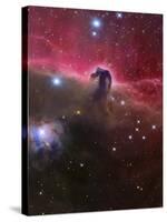 The Horsehead Nebula, Barnard 33 in the Orion Constellation-Stocktrek Images-Stretched Canvas