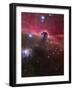 The Horsehead Nebula, Barnard 33 in the Orion Constellation-Stocktrek Images-Framed Photographic Print