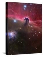 The Horsehead Nebula, Barnard 33 in the Orion Constellation-Stocktrek Images-Stretched Canvas