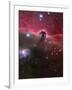 The Horsehead Nebula, Barnard 33 in the Orion Constellation-Stocktrek Images-Framed Photographic Print