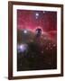 The Horsehead Nebula, Barnard 33 in the Orion Constellation-Stocktrek Images-Framed Photographic Print