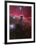 The Horsehead Nebula, Barnard 33 in the Orion Constellation-Stocktrek Images-Framed Photographic Print