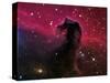 The Horsehead Nebula-Stocktrek Images-Stretched Canvas