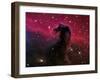 The Horsehead Nebula-Stocktrek Images-Framed Premium Photographic Print