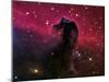 The Horsehead Nebula-Stocktrek Images-Mounted Premium Photographic Print