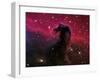 The Horsehead Nebula-Stocktrek Images-Framed Photographic Print