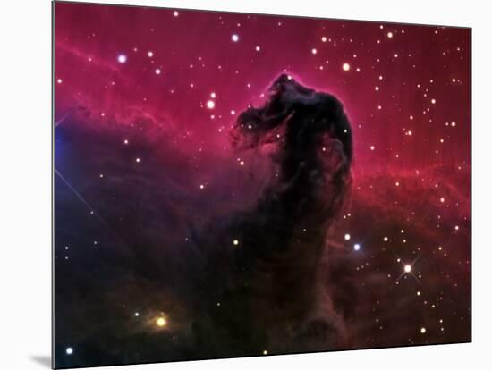 The Horsehead Nebula-Stocktrek Images-Mounted Photographic Print