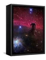 The Horsehead Nebula-Stocktrek Images-Framed Stretched Canvas