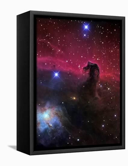 The Horsehead Nebula-Stocktrek Images-Framed Stretched Canvas