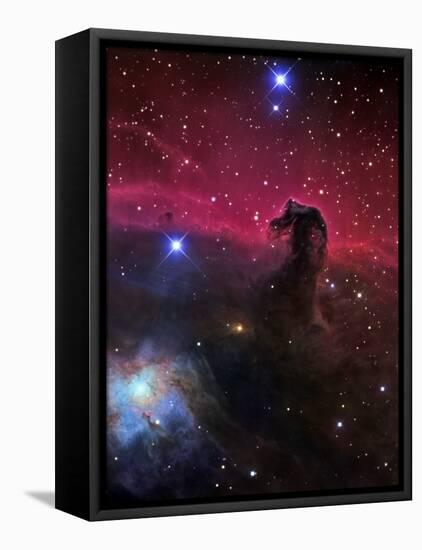 The Horsehead Nebula-Stocktrek Images-Framed Stretched Canvas