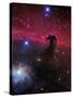 The Horsehead Nebula-Stocktrek Images-Stretched Canvas