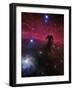 The Horsehead Nebula-Stocktrek Images-Framed Premium Photographic Print