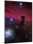 The Horsehead Nebula-Stocktrek Images-Mounted Photographic Print