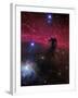 The Horsehead Nebula-Stocktrek Images-Framed Photographic Print