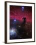 The Horsehead Nebula-Stocktrek Images-Framed Photographic Print