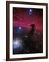 The Horsehead Nebula-Stocktrek Images-Framed Photographic Print