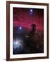 The Horsehead Nebula-Stocktrek Images-Framed Photographic Print