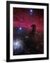 The Horsehead Nebula-Stocktrek Images-Framed Photographic Print